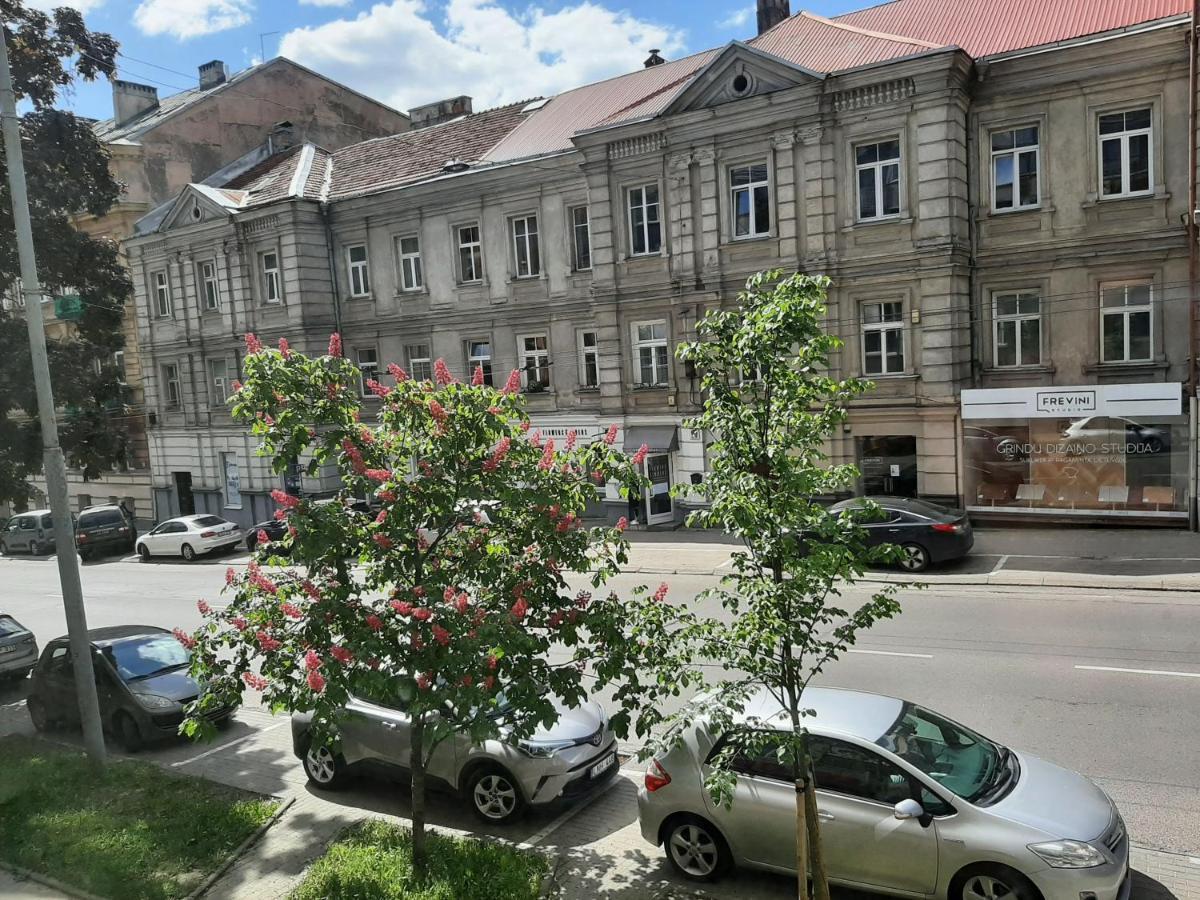 Centrally Located Cosy Studio Vilnius Extérieur photo
